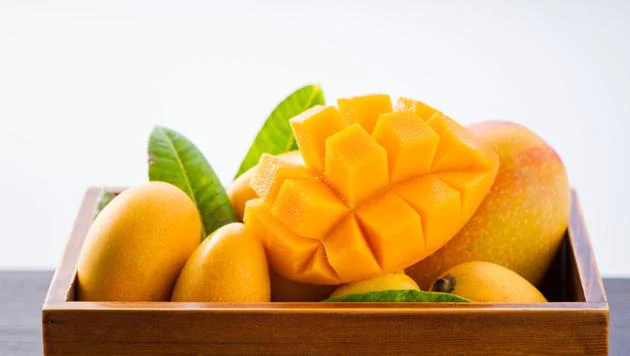 Mangoes have many clinical benefits