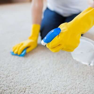 Steam Carpet Cleaning Services: What To Expect